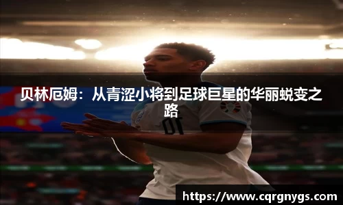 星空·综合体育官方网站